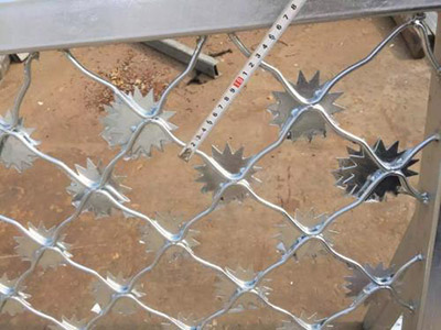 太陽(yáng)花美格網(wǎng)圖片2